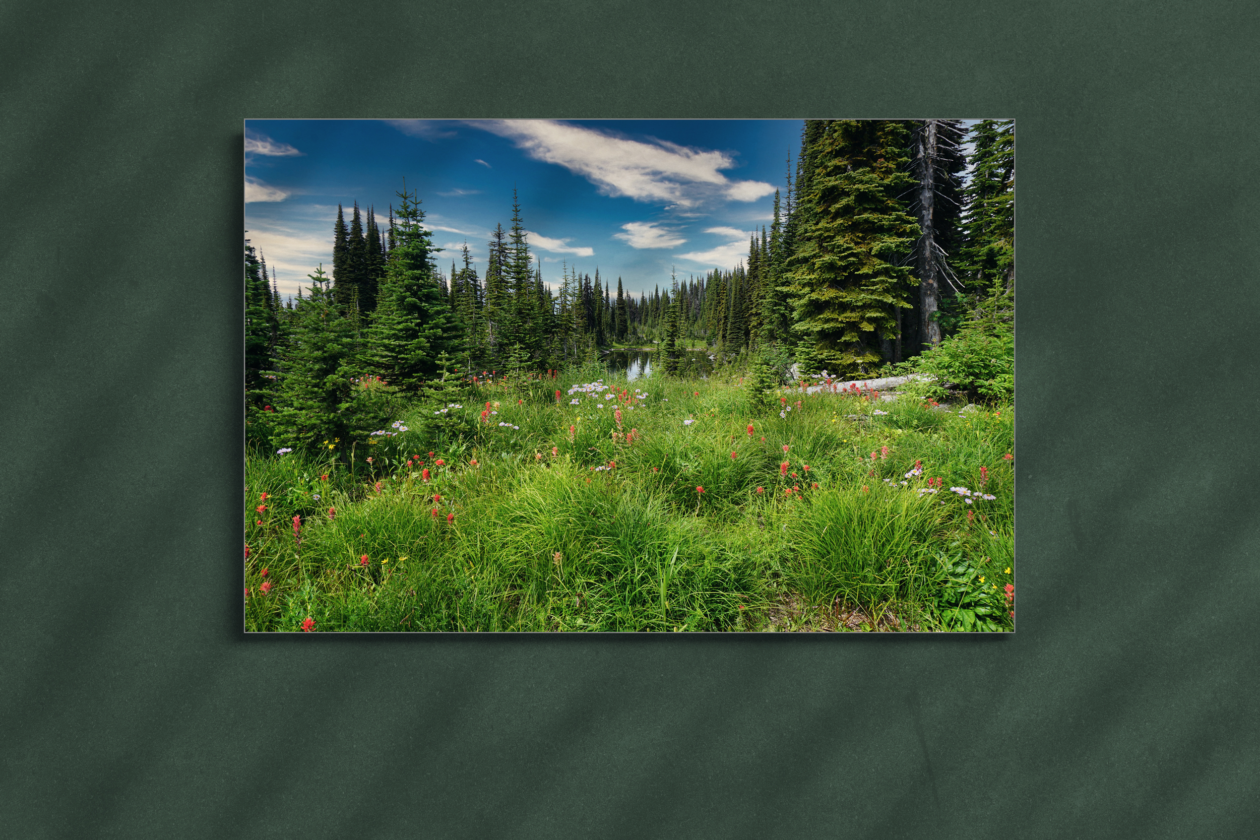 Kanada_Wald_und_Wiese___1__WEB