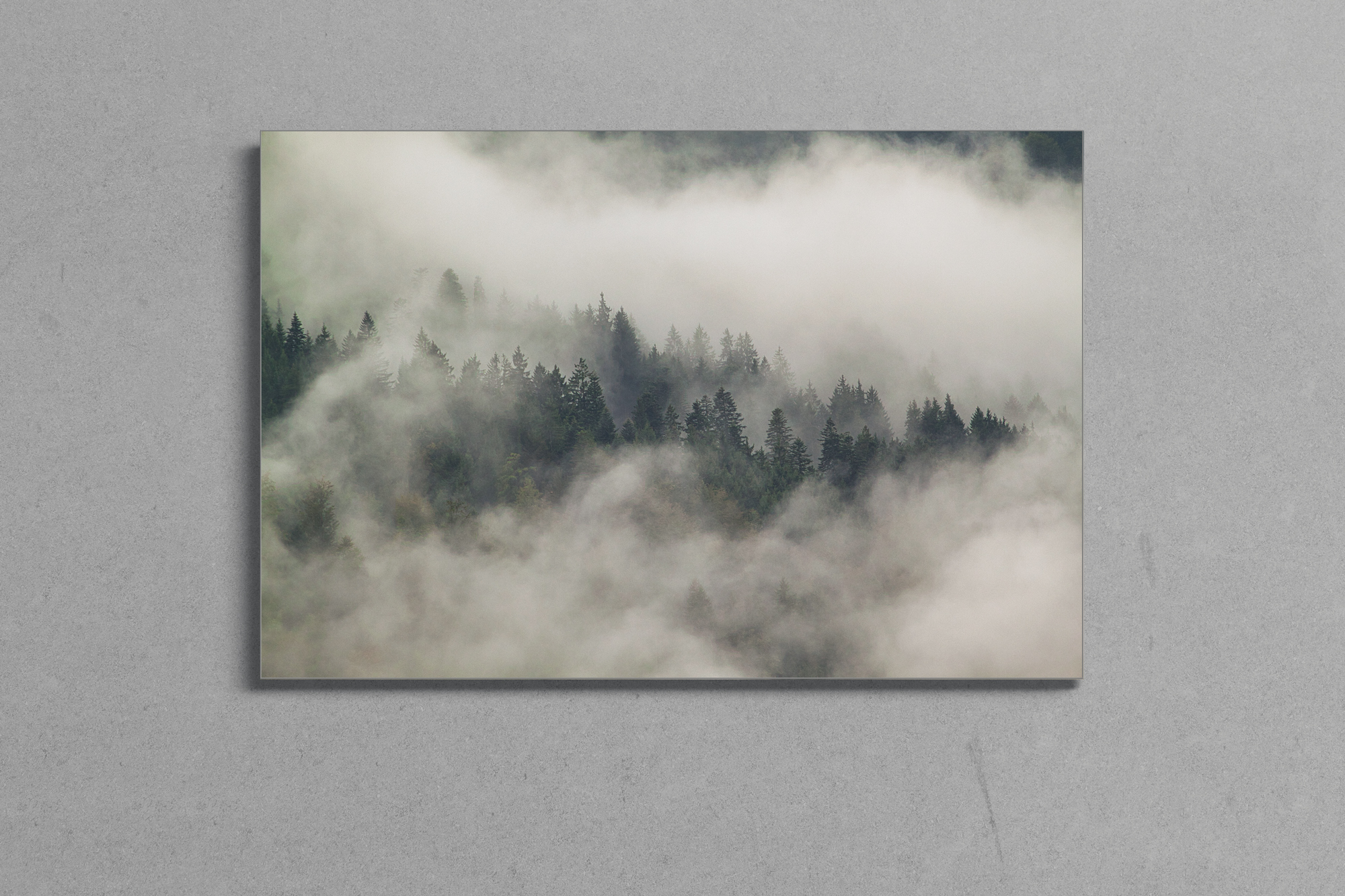 5_schmaler_Rahmen_Glas___1__CLEAN___bissl-weiter-oben-für-Slider_Nebelwald_WEB